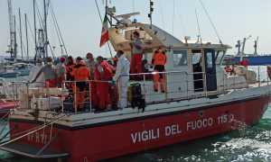 vdf barca