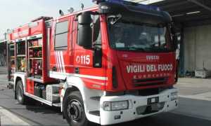 vdf dic gen