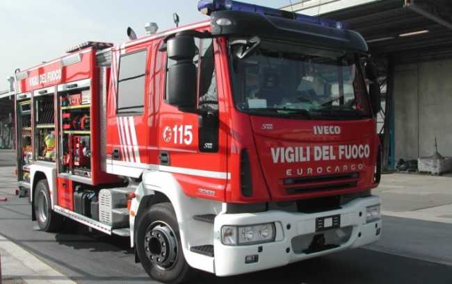 vdf dic gen