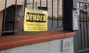 vendesi