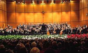 verdi