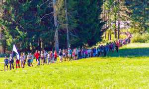 via mercato vigezzo gente