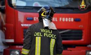 vig