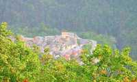 viganella alto