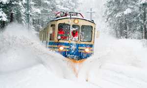vigezzina treno neve