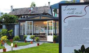 vigezzo profumo colonia