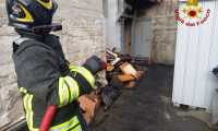 vigili fuoco00001