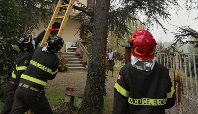 vigili fuoco scala