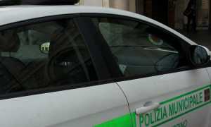 vigili