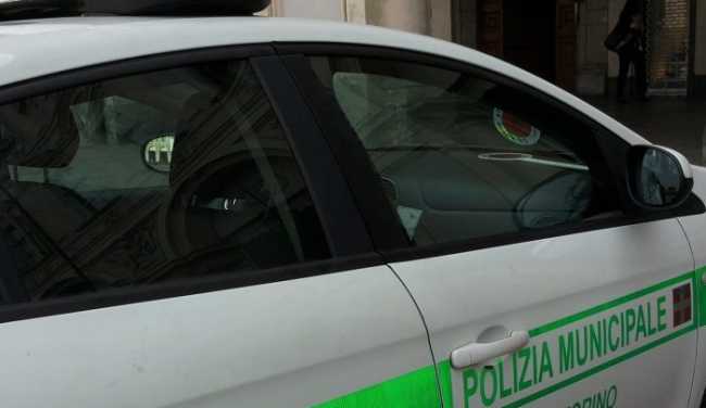 vigili