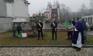 vignone 2