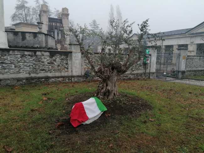 vignone 3