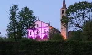 vignone