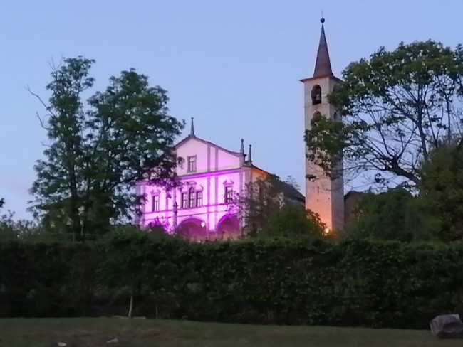 vignone