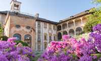 villa nigra