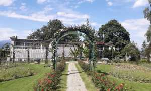 villa pallavicino 2020 2