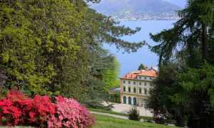 villa pallavicino con azalee