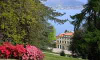 villa pallavicino con azalee