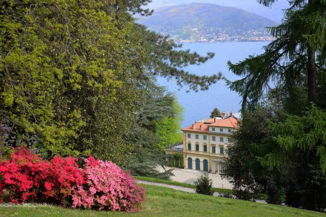 villa pallavicino con azalee