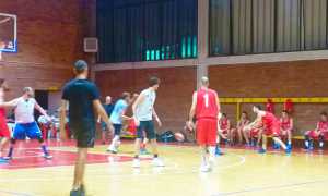 vinavil basket urania