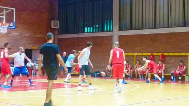 vinavil basket urania