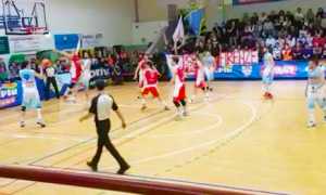 vinavil cipir fiorentina