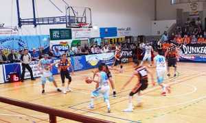 vinavil cipir mamy borgosesia