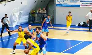 vinavil cipir piombino