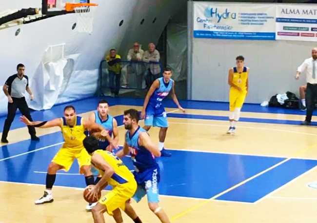 vinavil cipir piombino