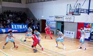 vinavil cipir san miniato 17 2