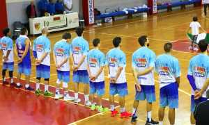 vinavil cipir spalle