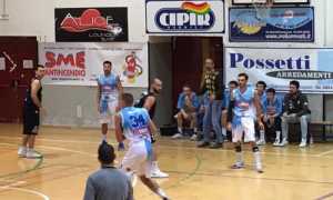 vinavil pavia