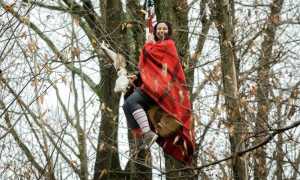 vincitrice bef volanti