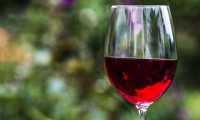 vino bicchiere