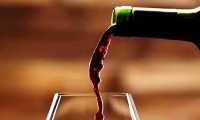 vino