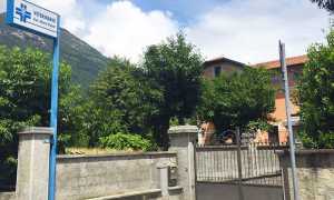 violetti veterinario sede