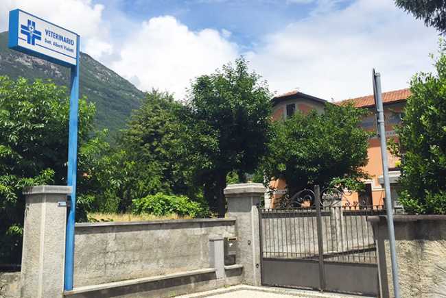 violetti veterinario sede