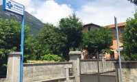 violetti veterinario sede