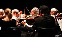 violinisti concerto