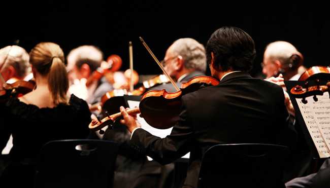 violinisti concerto