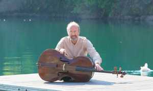 violoncello Palmeri ruminelli