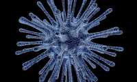 virus 213708 640
