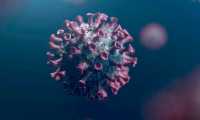 virus 6170929 640