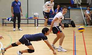 volley tuffo bistrot