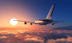 volo