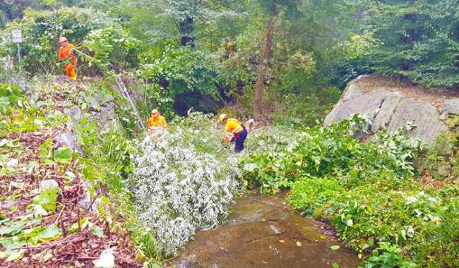 volontari aib rio bacenetto