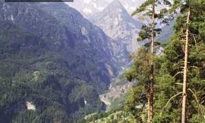 web cam iselle trasquera