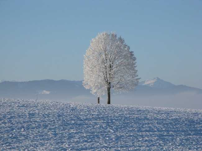 winter 198447 960 720