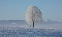 winter 198447 960 720