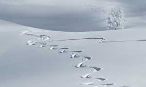 wintry 2068298 960 720